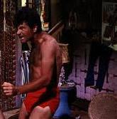 Dick Shawn
