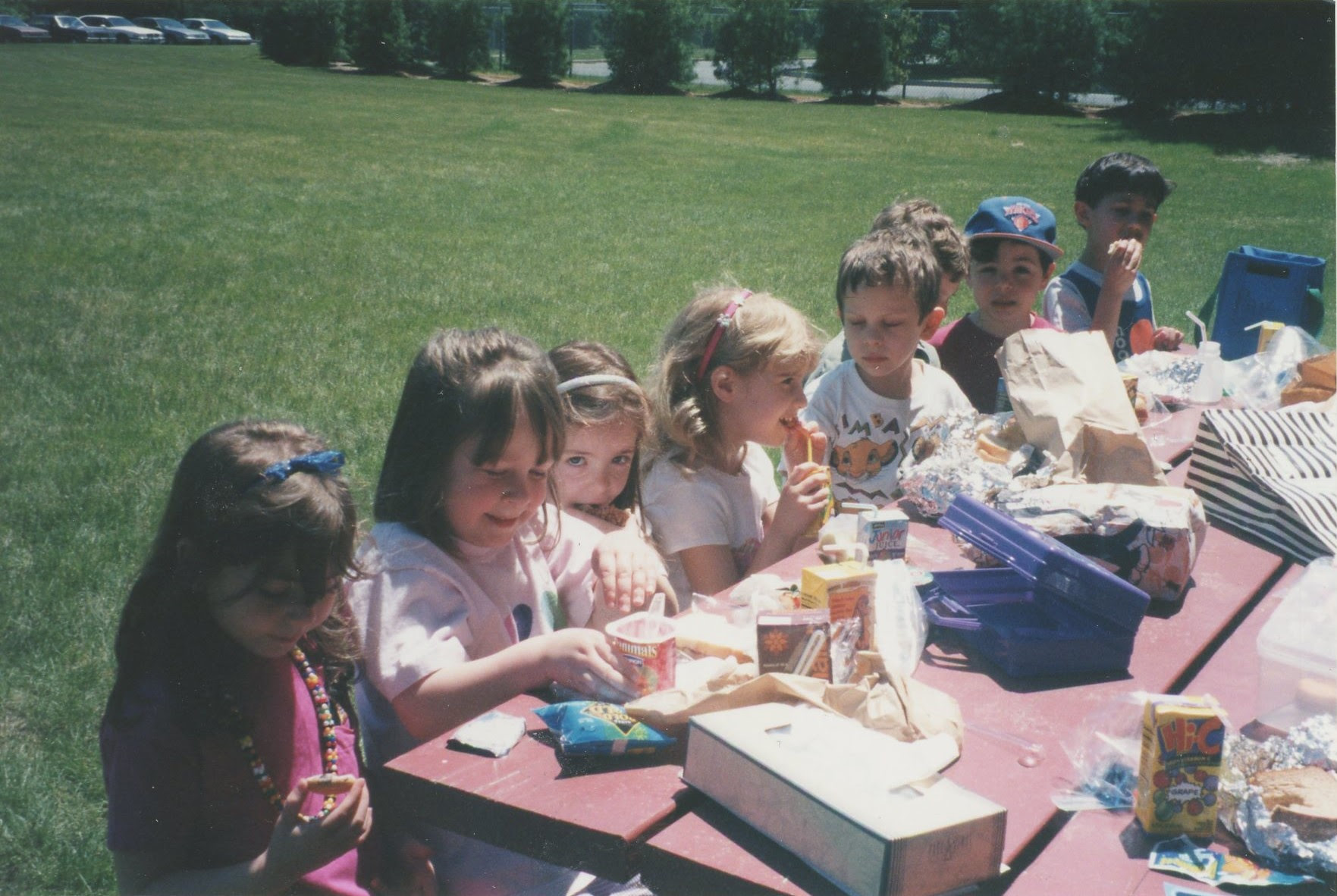 spring picnic